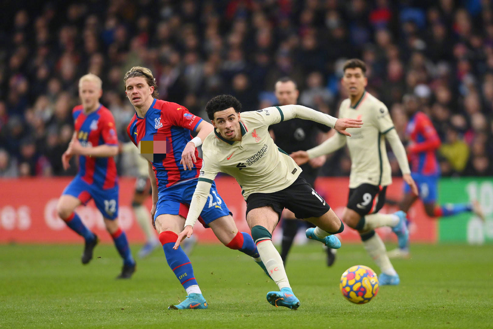 核心球员的 核心球员的